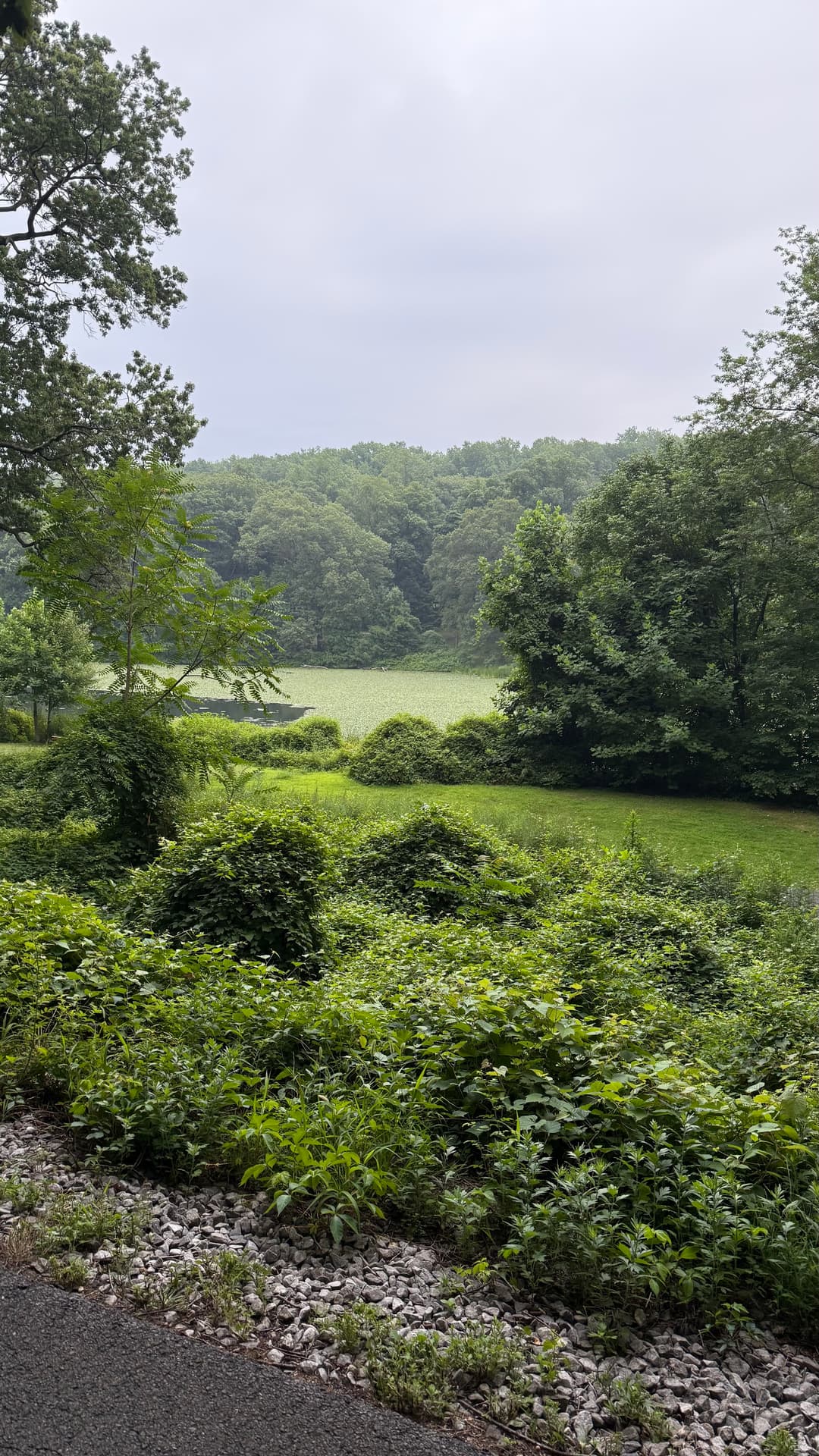 Marsh seen from the Empire State Trail in New York